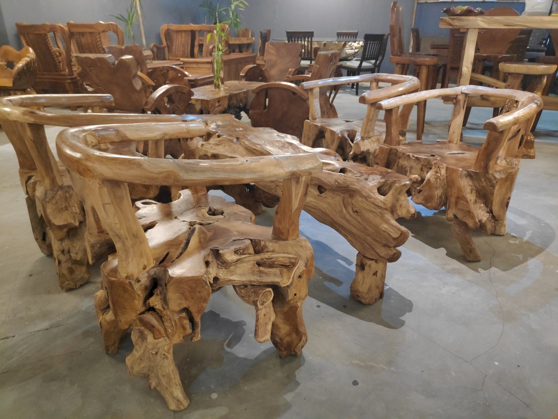 Kayu Jati Bojonegoro